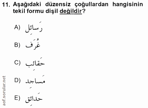 11. soru: Aşağıdaki düzensiz çoğullardan hangisinin tekil formu dişil değildir? A) Jile, B) s,s c) „itér D) tatina حَدائق (E