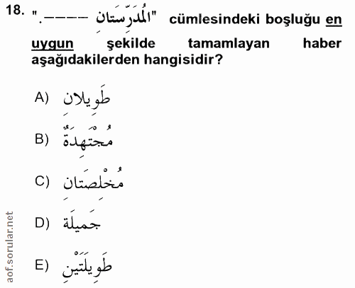 18. soru: " - ¿lawjl" cümlesindeki boşluğu en uygun şekilde tamamlayan haber aşağıdakilerden hangisidir? A) üst sb مُجْتَهِدَةٌ…
