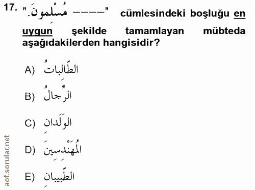 17. soru: "-- مُسْلِمونَ ." .17 cümlesindeki boşluğu en uygun şekilde tamamlayan mübteda aşağıdakilerden hangisidir? الطّالباتُ…