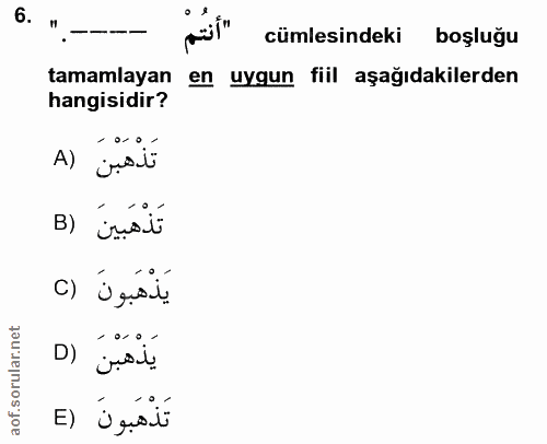 6. soru: cümlesindeki boşluğu tamamlayan en uygun fiil aşağıdakilerden hangisidir? A) ¿udili تَذْهَبينَ (B [) Ú șai! يَذْهَبنَ…