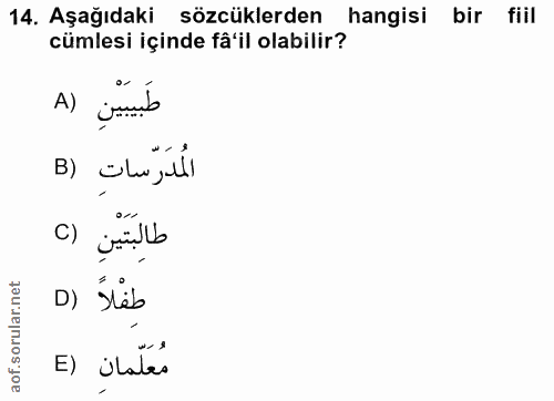 14. soru: Aşağıdaki sözcüklerden hangisi bir fiil cümlesi içinde fâ'il olabilir? A) jamb المدَرّساتِ ( B طالَبَتَيْنِ () D) Ste…