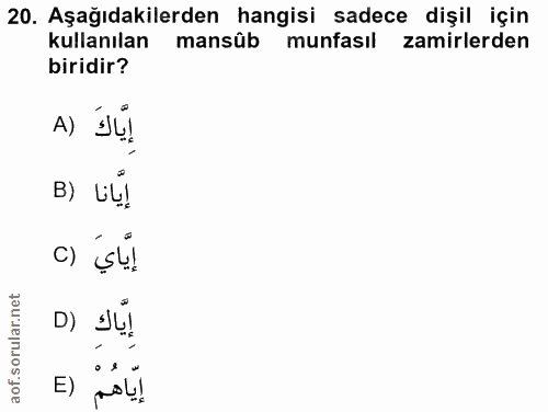 20. soru: Aşağıdakilerden hangisi sadece dişil için kullanılan mansûb munfasıl (zamirlerden biridir? A) ILI B) Lu! C) D) E) إياهم