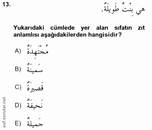 13. soru: هي بنت طويلة. Yukarıdaki cümlede yer alan sıfatın zIt anlamlısı aşağıdakilerden hangisidir? مُجْتَهدَةٌ B) سَمينَةٌ ق…