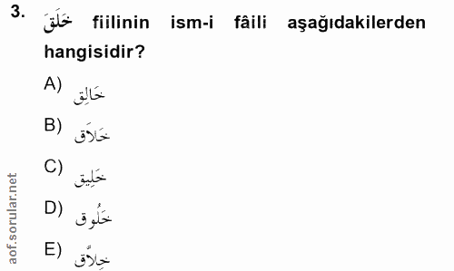 3. soru: jü fillinin ism-i faili aşağıdakilerden hangisidir? حَالِق (A خَلاَق (B خَلِيق خَلُوق (D E) Esta