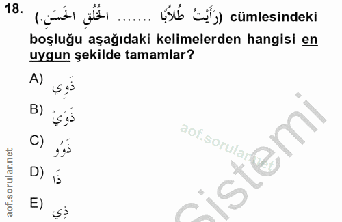 18. soru: 18 lgmd ..... ücşİ cümlesindeki boşluğu aşağıdaki kelimelerden hangisi en uygun şekilde tamamlar? A) ذوي B) ذوَيْ C)…