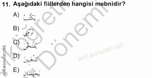 11. soru: Aşağıdaki fiillerden hangisi mebnidir? A) يَكُتُبُ B) Dönem D) ins.it E) يَجْلِسَانِ