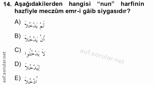 14. soru: Aşağıdakilerden hangisi "nun" harfinin hazfiyle meczüm emr-i gâib siyasıdır? لَمْ يَدْحُلاَ (A أَنْ يَدْخُلاَ (B لاَ…