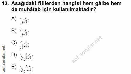 13. soru: Aşağıdaki fiillerden hangisi hem gâibe hem de muhâtab için kullanılmaktadır? A) يَفْعَلُ B) نَفْعَل C) نَفْعَلُ D) تَ…