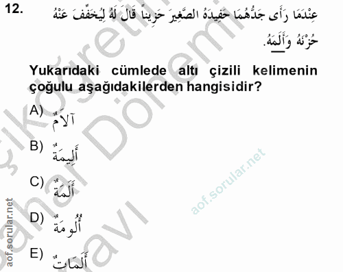 12. soru: عِنْدَمَا رَأَى جَدُّهُمَا حَفِيدَهُ الصَّغِيرَ حَزِينا قَالَ لَهُ لِيُخَفّفَ عَنْهُ حُزْنَهُ وَأَلَمَهُ. Yukarıdaki…