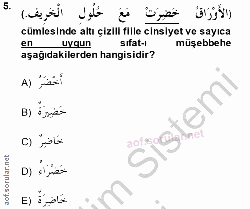 5. soru: (الأَوْرَاقُ خَضِرَتْ مَعَ حُلُول الْخَريف.) cümlesinde altı çizili fiile cinsiyet ve sayıca en uygun sifat-l müşebbe…