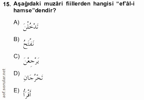 15. soru: Aşağıdaki muzâri fiillerden hangisi "ef'âl-i hamse"dendir? تَدْخُلْنَ (A B) نَفْتَحُ C) يَرْجِعْنَ D) تَخْرُجَانٍ E) fii