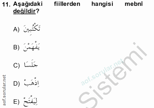 11. soru: Aşağıdaki fiillerden hangisi mebni değildir? A) inist يَفْهَمْنَ (B جَلَسَا (C sistemi lar.ne, اِذْهَبْ ( D لِيَفْتَح…