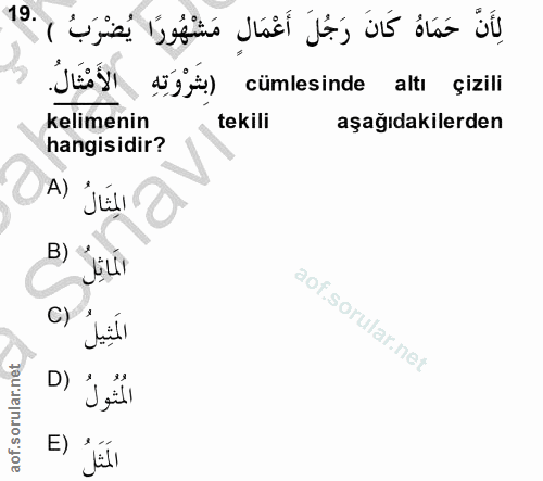 19. soru: لِأَنّ حَمَاهُ كَانَ رَجُلَ أَعْمَالِ مَشْهُورًا يُضْرَبُ ) .19 الأَمْثَالُ. dg) cümlesinde altı çizili kelimenin tek…