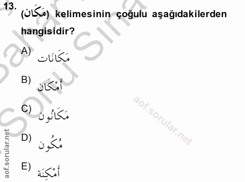 13. soru: (üLKü) kelimesinin çogulu aşağıdakilerden hangisidir? مَكَانَات (A B) أَمْكَان C) مَكَانُون مُكُون (D E) أَمْكِنَة