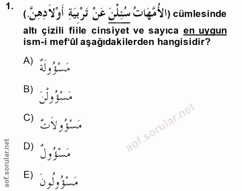 1. soru: الأُمَّهَاتُ سنلْنَ عَن تَرْبيَة أَوْلادِهِين ن a altı çizili fiile cinsiyet ve sayıca en uygun ism-i mef'ül aşağıdak…