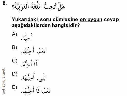 8. soru: هَلْ تُحِبُّ اللُّغَةَ الْعَرَبِيَّةَ؟ Yukarıdaki soru cümlesine en uygun cevap aşağıdakilerden hangisidir? A) أُحِبّ…