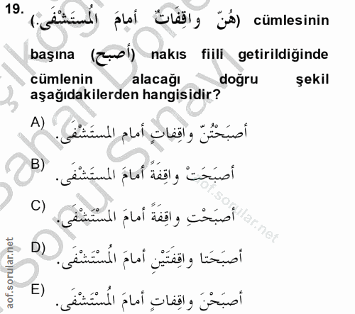 19. soru: 19 isetend plal Elätı, já) cümlesinin başına (emi) nakıs fiili getirildiğinde cümlenin alacagi doğru şekil aşağıdakil…
