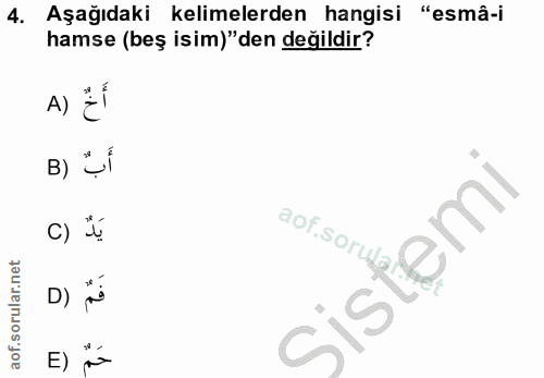 4. soru: Aşağıdaki kelimelerden hangisi "esmâ-i hamse (beş isim)"den değildir? A) Ef B ) أَبٌ C) يَدٌ D) فَمٌ E) حَمّ