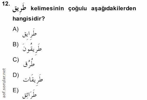 12. soru: äyb kelimesinin çoğulu aşağıdakilerden hangisidir? A) طَرايق طَرِيقُونَ (B C) طُرُق D) طَرِيقَات E) طَرَائِق