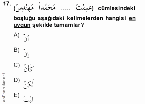 17. soru: Cadipé idárs .... Ensié) cümlesindeki boşluğu aşağıdaki kelimelerden hangisi en uygun şekilde tamamlar? A) C) D) E)