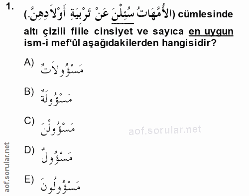 1. soru: الأُمَّهَاتُ سُنلْن عَنْ تَرْبيَة أَوْلاَدِهِي ل e altı çizili fiile cinsiyet ve sayıca en uygun ism-i mef'ül aşağıda…