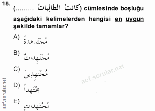 18. soru: ümıde boşluğy aşağıdaki kelimelerden hangisi en uygun şekilde tamamlar? مُجْتَدهدةً (A لُجْتَهِداتٌ (B C) - مُجْتَهدِ…