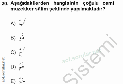 20. soru: Aşağıdakilerden hangisinin çoğulu cemî müzekker sâlim şeklinde yapılmaktadır? A) أَبٌّ B) c) Ef Sistemi D) فَمٌ E) حَمٌ