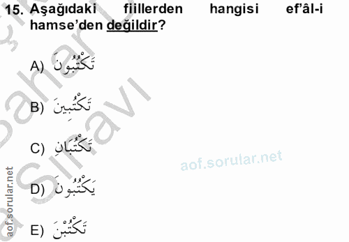 15. soru: Aşağıdaki fiillerden hangisi ef'âl-i hamse'den değildir? A) B) iriki تَكْتُبَانِ (C يَكْتُبُونَ (D تَكَتُبْنَ (E