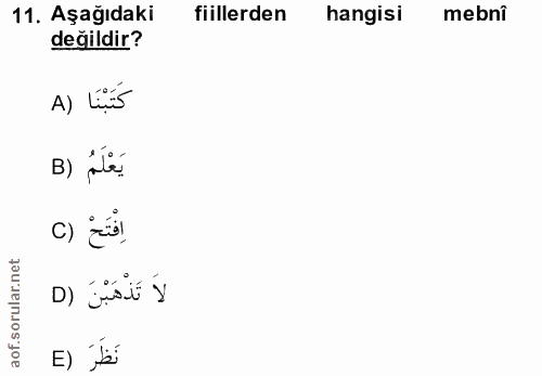11. soru: Aşağıdaki fiillerden hangisi mebnî değildir? A) Lii5 B) pile. فَتَحْ (C لاَ تَذْهَبْنَ (D نَظَرَ (E