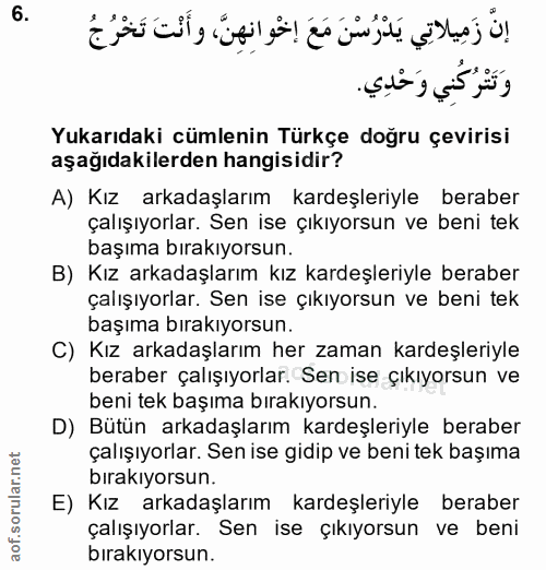 6. soru: Yukarıdaki cümlenin Türkçe doğru çevirisi aşağıdakilerden hangisidir? A) Kız arkadaşlarım kardeşleriyle beraber çalış…
