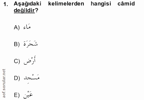 1. soru: Aşağıdaki kelimelerden hangisi câmid değildir? A) slo شَجَرَة (B c) pí D) torino عَيْن (E