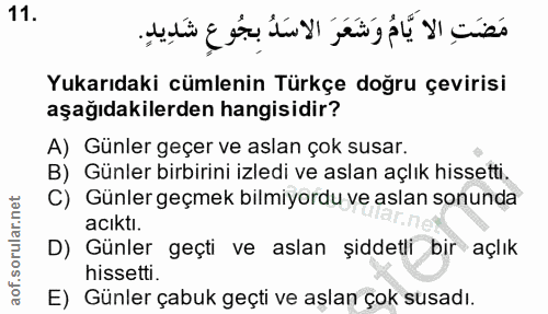 11. soru: Yukarıdaki cümlenin Türkçe doğru çevirisi aşağıdakilerden hangisidir? A) Günler geçer ve aslan çok susar. B) Günler b…