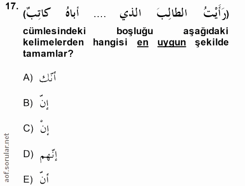 17. soru: Lut dui cümlesindeki boşluğu aşağıdaki kelimelerden hangisi en uygun şekilde tamamlar? A) di B) Ü! c) Ü! D) Po! e) ü¡
