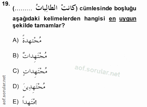 19. soru: cümlesinde boşluğu aşağıdaki kelimelerden hangisi en uygun şekilde tamamlar? مُجْتهدةً (A B) Elifir مُجْتَهداتِ (C مُ…