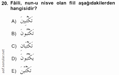 20. soru: Fâili, nun-u nisve olan fiil aşağıdakilerden hangisidir? تَكْتُبِينَ (A تكتبونَ (B c) ilisi يَكْتُبُونَ (٥ E) ¿riti
