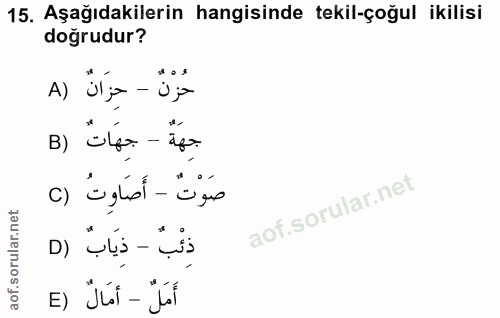 15. soru: Aşağıdakilerin hangisinde tekil-çoğul ikilisi doğrudur? حزْنٌ - حِزَانٌ (A جهَةٌ - جهَاتٌ (B صَوْتٌ - أَصَاوِتُ () ذئ…
