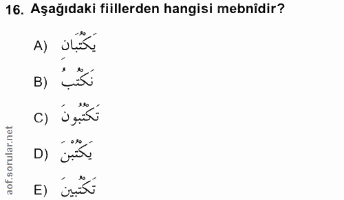 16. soru: Aşağıdaki fiillerden hangisi mebnîdir? A) ilis B) تَكْتُبُونَ (c D) ¿ria تَكُتُبينَ (E