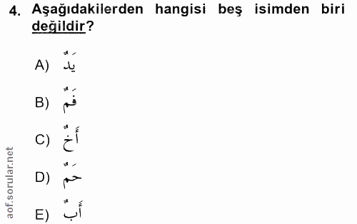 4. soru: Aşağıdakilerden hangisi beş isimden biri değildir? A) B) C) D) E)