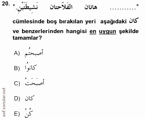 20. soru: الفَلاّحتانِ هاتان "1 cümlesinde boş bırakılan yeri aşağıdaki üL5 ve benzerlerinden hangisi en uygun şekilde tamamlar…