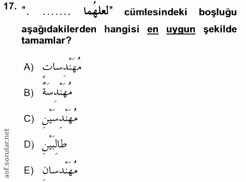 17. soru: ". ....... lgl''' cümlesindeki boşluğu aşağıdakilerden hangisi en uygun şekilde tamamlar? A) Olulife B) dualife o. s…