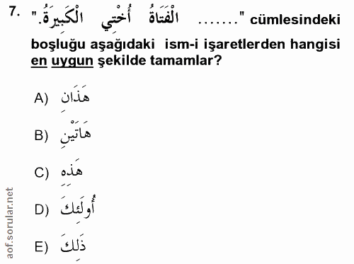 7. soru: ".onsli ....."cümlesindeki boşluğu aşağıdaki ism-i işaretlerden hangisi en uygun şekilde tamamlar? A) Ulto B) jils c)…