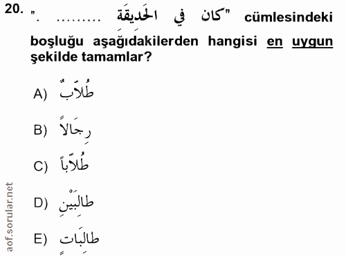 20. soru: .. déd| ( Ú" cümlesindeki boşluğu aşağıdakilerden hangisi en uygun şekilde tamamlar? A) șslb رِجَالا (B طُلَاّباً (C…