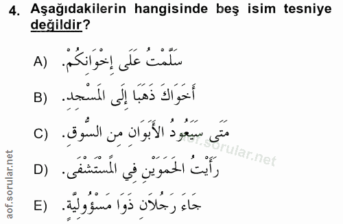 4. soru: Aşağıdakilerin hangisinde beş isim tesniye değildir? A) سَلَّمْتُ عَلَى إِحْوَانِكُمْ. أَخَوَاكَ ذَهَبَا إِلَى المَسْ…