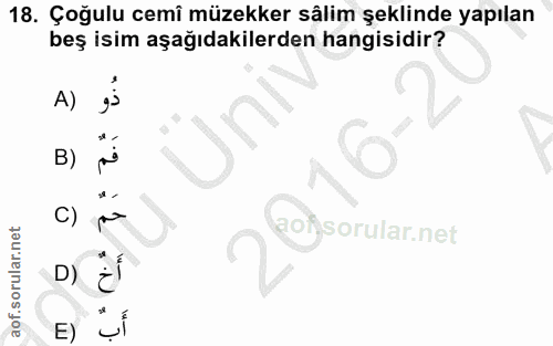 18. soru: Çoğulu cemî müzekker sâlim şeklinde yapılan beş isim aşağıdakilerden hangisidir? A) B) D) E)