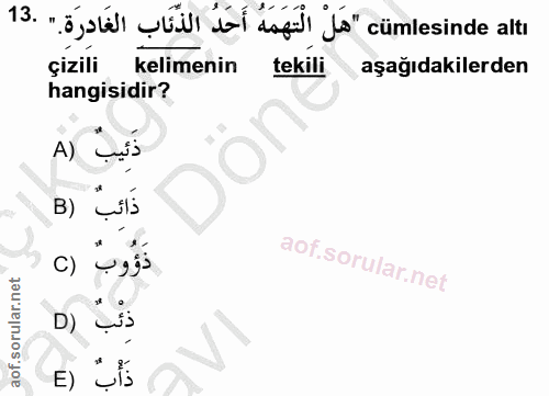 13. soru: H ızıı ýá"cümlesinde altı çizili kelimenin tekili aşağıdakilerden hangisidir? A) LỚS B) çils ذَؤُوب (C D) SiS E) ȘÍś