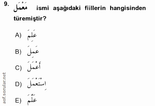 9. soru: Lass ismi aşağıdaki fillerin hangisinden türemiştir? A) pole B) Jac c) fail D) Tacinl E) als
