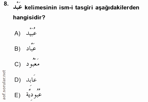 8. soru: is kelimesinin ism-i tasgiri aşağıdakilerden hangisidir? A) dục B) sục مَعْبُود (C عابد (D E) عُبُودِيَّة