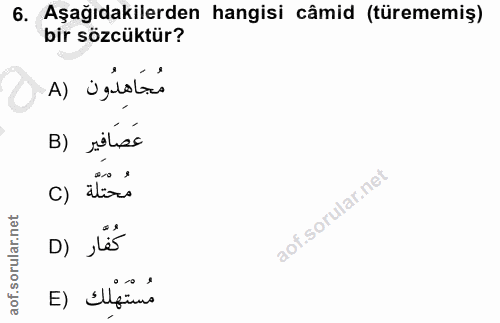 6. soru: Aşağıdakilerden hangisi câmid (türememiş) bir sözcüktür? مُجَاهِدُون (A B) sils'e c) atirs D) ,les مُسْتَهْلِك (E
