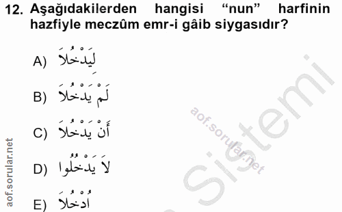 12. soru: Aşağıdakilerden hangisi "nun" harfinin hazfiyle meczüm emr-i gâib siygasıdır? A) Sid! لَمْ يَدْخُلاَ ( B tem أَنْ يَد…