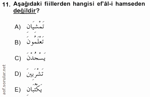11. soru: Aşağıdaki fiillerden hangisi ef'âl-i hamseden değildir? A) ilinas 10- B) علمون يَسْجُدْنَ (C D) iss pin يَكْتُبَان (E
